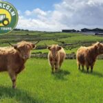 Glasgow: Highland Cow Trailer Tour with home baking - Who Should Consider This Tour?
