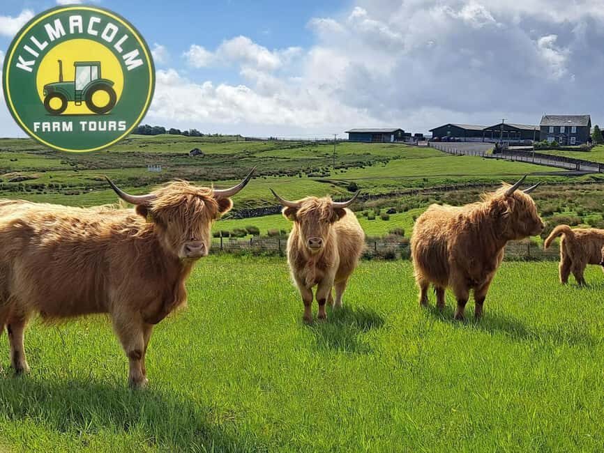 Glasgow: Highland Cow Trailer Tour with home baking - Who Should Consider This Tour?