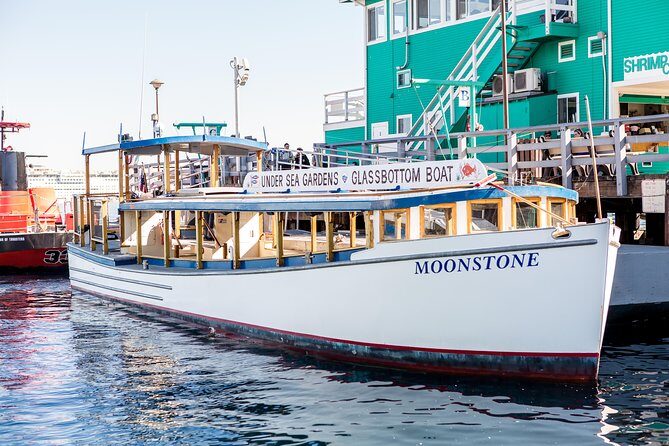 Glass Bottom Boat: Catalina Island Tour - Who Will Love This Tour?