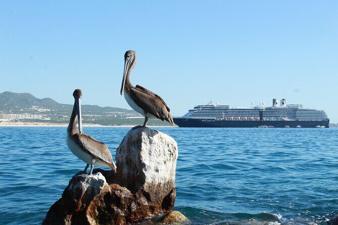 Glass Bottom Boat in Cabo San Lucas, free time in Playa del Amor - Analyzing the Value
