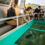 Glass Bottom Boat Tour - Why This Tour Offers Great Value