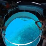 Glass Bottom Boat Tour & Snorkeling in São Miguel, Azores - How This Tour Fits Into Your São Miguel Itinerary