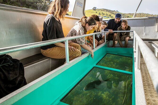 Glass Bottom Boat Tour - Why This Tour Offers Great Value