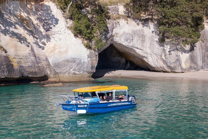 Glass Bottom Boat Whitianga Cathedral Cove Cruise - The Sum Up: Who Should Consider This Tour?