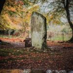Glen Affric & Culloden Tour from Inverness Including Admissions - What Reviewers Are Saying