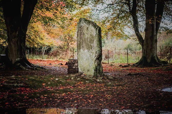 Glen Affric & Culloden Tour from Inverness Including Admissions - What Reviewers Are Saying