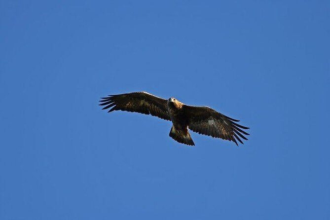 Glenaladale Cruise - Great for wizard spotting! - FAQs