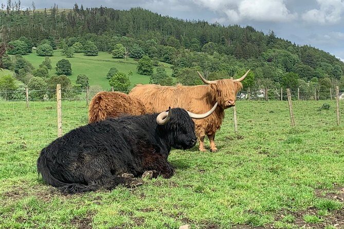 Glencoe, Central Highlands, Rob Roy, Whisky, Private Tour - Authentic Experiences and Guide Highlights
