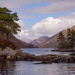 Glenfinnan: Cruise on Loch Shiel Glenfinnan to Gaskan area - Exploring Loch Shiel: A Detailed Look at What You Can Expect