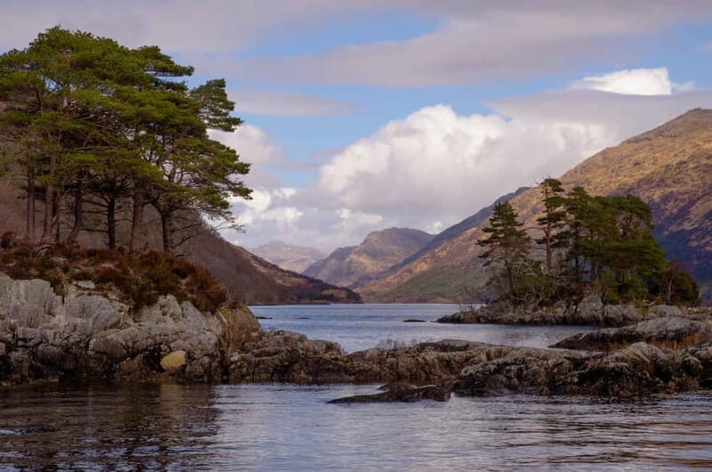 Glenfinnan: Cruise on Loch Shiel Glenfinnan to Gaskan area - Exploring Loch Shiel: A Detailed Look at What You Can Expect
