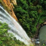 Glow Worms + Day/Night Rainforest & Waterfalls Experience - Final Thoughts