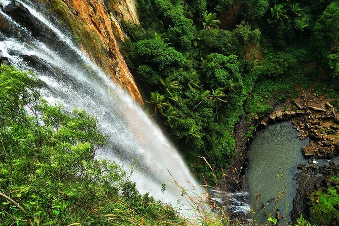 Glow Worms + Day/Night Rainforest & Waterfalls Experience - Final Thoughts