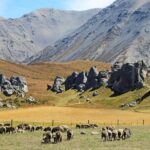 Go Caving & Explore Castle Hill from Lyttelton (Shore Excursion) - Who Will Enjoy This Tour?