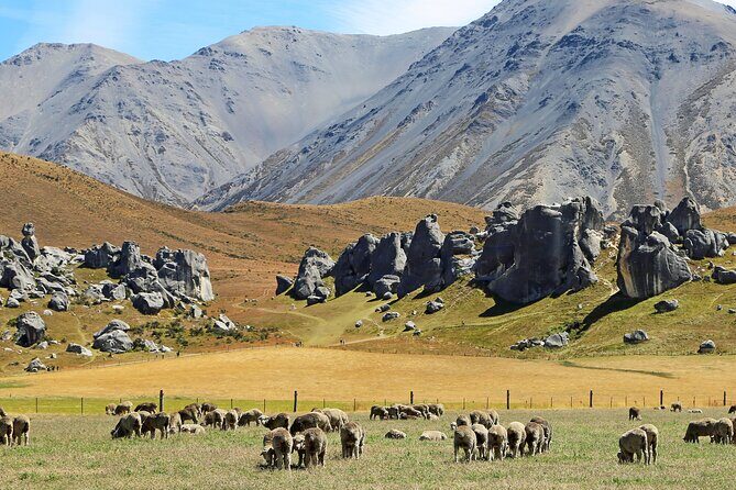 Go Caving & Explore Castle Hill from Lyttelton (Shore Excursion) - Who Will Enjoy This Tour?
