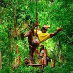 Go City Cancun Explorer Pass: Save up to 50% on Attractions - Who Will Love This Pass?