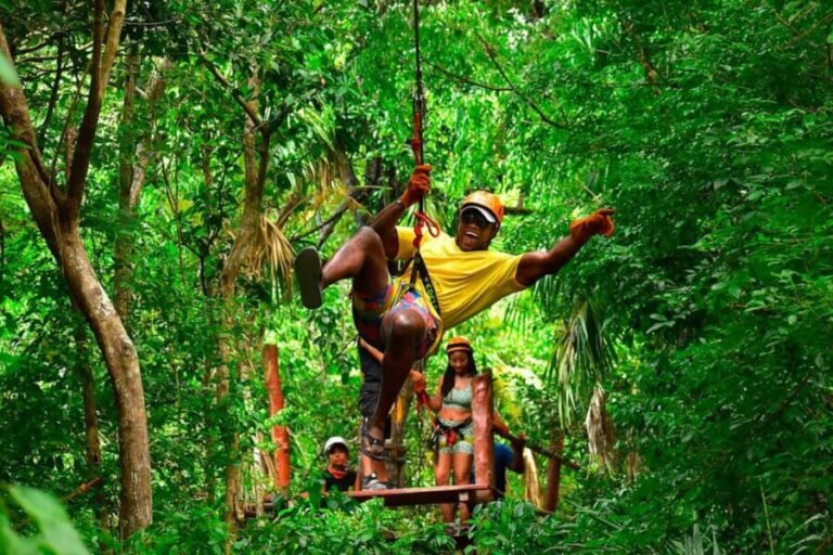 Go City Cancun Explorer Pass: Save up to 50% on Attractions - Who Will Love This Pass?