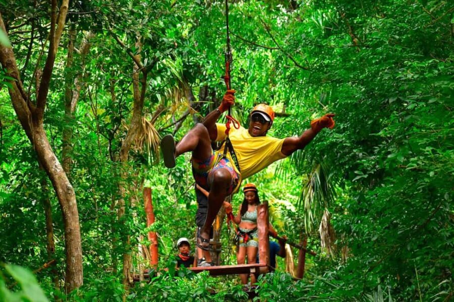 Go City Cancun Explorer Pass: Save up to 50% on Attractions - Who Will Love This Pass?