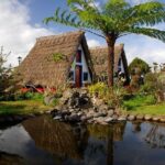 Go East Tour - Madeira Island Excursion - Final Thoughts