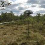 Go North  Private 1 Day Trip to Estonian Nature - How the Day Comes Together