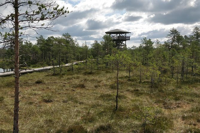Go North  Private 1 Day Trip to Estonian Nature - How the Day Comes Together