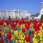 Go On-Board HMS Belfast & See 30+ London Top Sights - Exploring the London Sights in 5 Hours: What to Expect