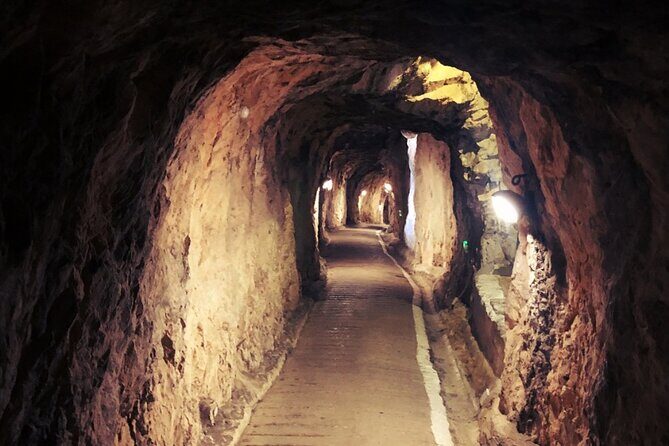 Go Tours 360° Experience in Gibraltar with Professional Guide - Exploring Gibraltar in Depth