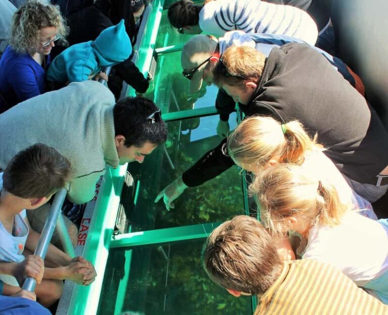 Goat Island: Glass Bottom Boat Tour - An In-Depth Look at the Goat Island Glass Bottom Boat Tour