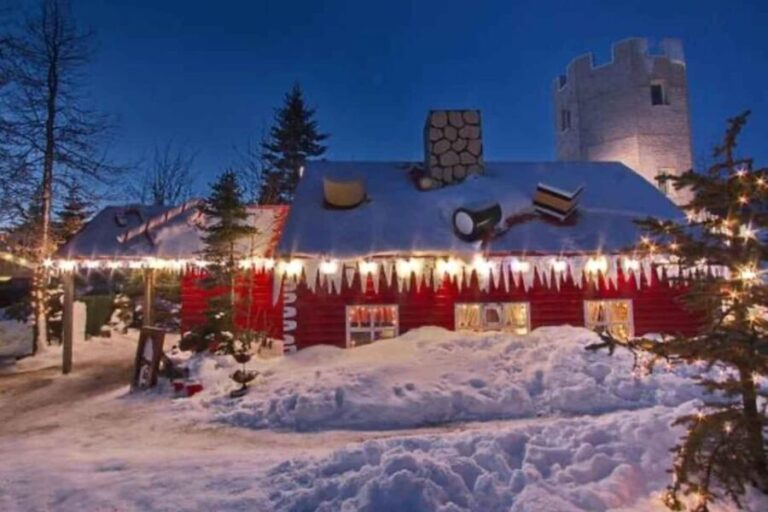 Goðafoss Waterfall, Santa Claus House and Forest Lagoon - Why This Tour Is Worth It