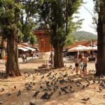 Going North and visit Sarajevo in a Day Tour from Mostar - Key Points