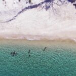 Gold Coast: 3-Day PADI Open Water Course - A Closer Look at the 3-Day PADI Open Water Course