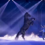 Gold Coast: Australian Outback Spectacular Dinner & Show - Practical Tips for Your Visit