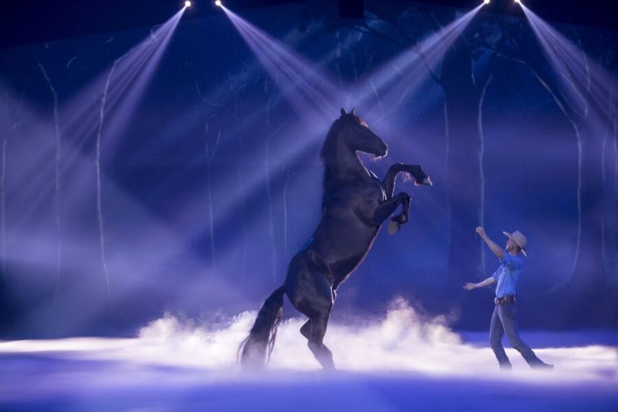 Gold Coast: Australian Outback Spectacular Dinner & Show - Practical Tips for Your Visit