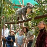 Gold Coast Canyon Flyer Zipline Tour - The Value of This Experience