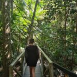 Gold Coast Departure : Explore Tamborine Mountain Day Tour - A Detailed Look at the Tamborine Mountain Day Tour