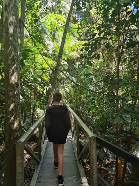 Gold Coast Departure : Explore Tamborine Mountain Day Tour - A Detailed Look at the Tamborine Mountain Day Tour