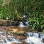 Gold Coast: Glow Worms Nocturnal Rainforest & Waterfall Walk - Who Should Consider This Tour?