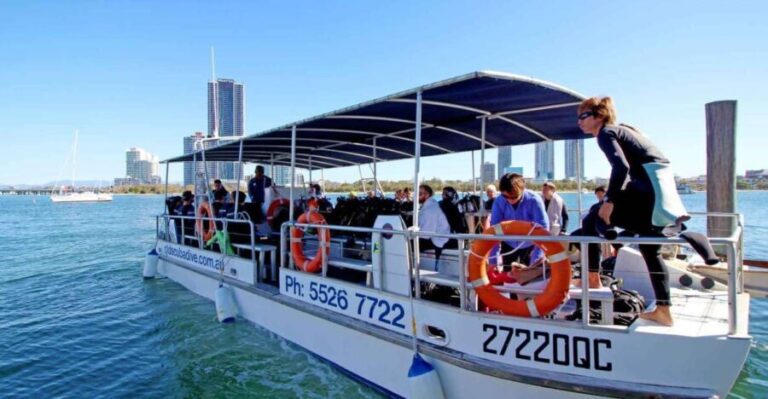 Gold Coast: Introductory SCUBA Diving Experience - A Detailed Look at the Gold Coast SCUBA Experience