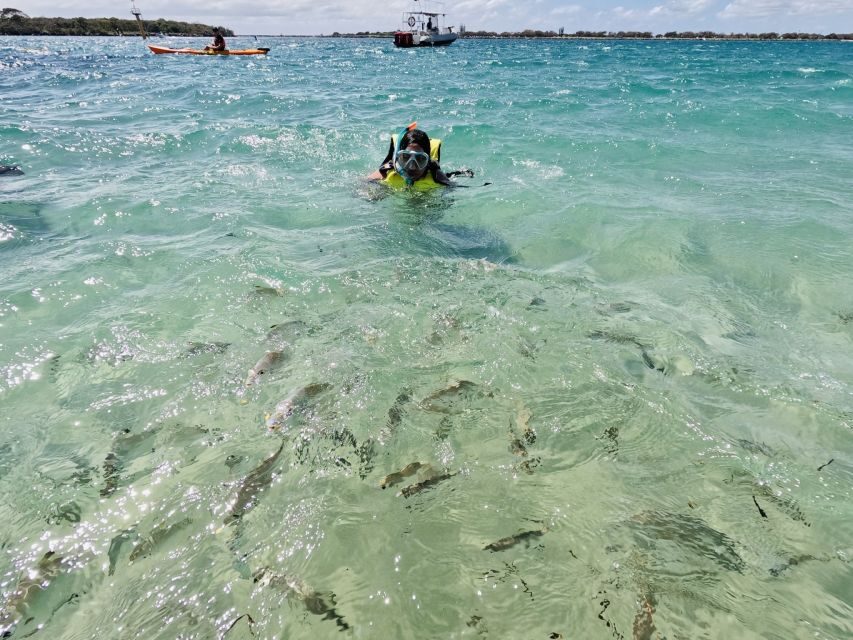 Gold Coast: Kayaking and Snorkeling Guided Tour - Navigating the Gold Coast: Kayaking and Snorkeling Experience
