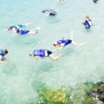 Gold Coast: Kayaking & Snorkelling Tour with Fish Feeding - Practical Details and Considerations