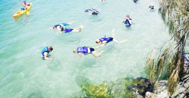 Gold Coast: Kayaking & Snorkelling Tour with Fish Feeding - Practical Details and Considerations