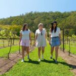 Gold Coast: Lamington Treetops, Wildlife and Vineyard Visit - Starting Out: Convenience and Comfort