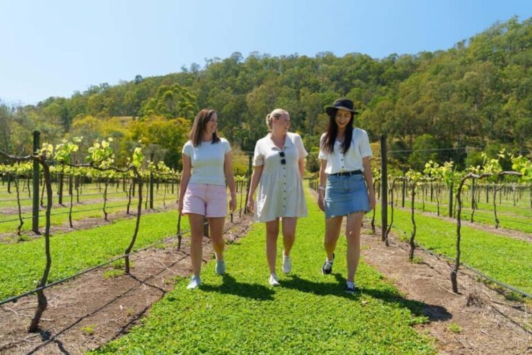 Gold Coast: Lamington Treetops, Wildlife and Vineyard Visit - Starting Out: Convenience and Comfort