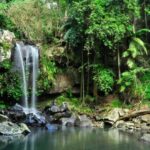 Gold Coast: Mount Tamborine Kangaroo and Koala Day Tour - Exploring Mount Tamborine: What You Can Expect
