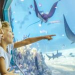 Gold Coast: Movie World, Sea World & Wet'n'Wild 7-Day Pass - Practical Details and Tips