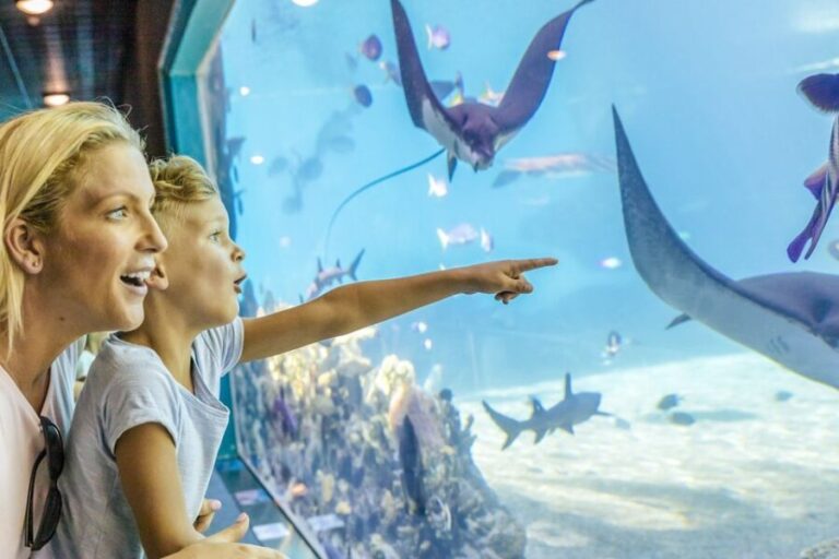 Gold Coast: Movie World, Sea World & Wet'n'Wild 7-Day Pass - Practical Details and Tips