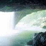 Gold Coast: Natural Bridge Glow Worm Night Tour - The Sum Up