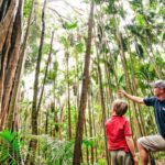 Gold Coast: Natural Bridge & Springbrook Waterfalls Tour - An In-depth Look at the Tour Experience