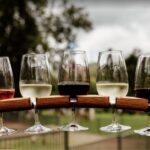 Gold Coast: Private Winery Tour in a New Luxury Vehicle - An In-Depth Look at the Gold Coast Private Winery Tour