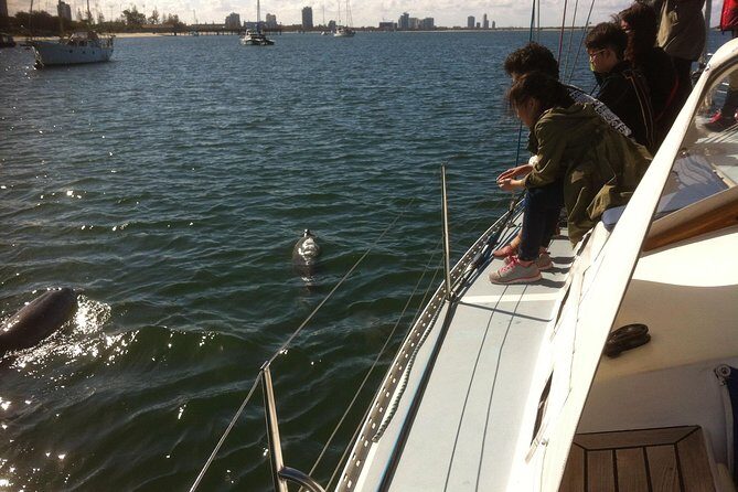 Gold Coast Sailing Cruise with sparkling wine & nibbles platter - The Sum Up