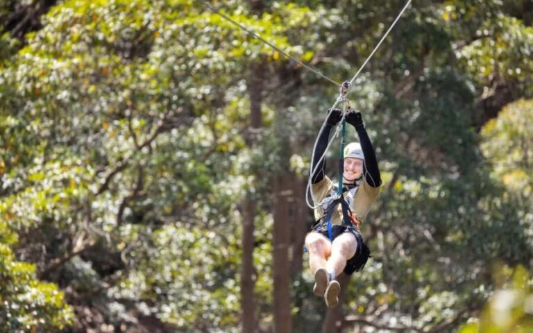 Gold Coast: Tamborine Mountain Canyon Flyer Zipline Tour - Why This Tour Offers Great Value